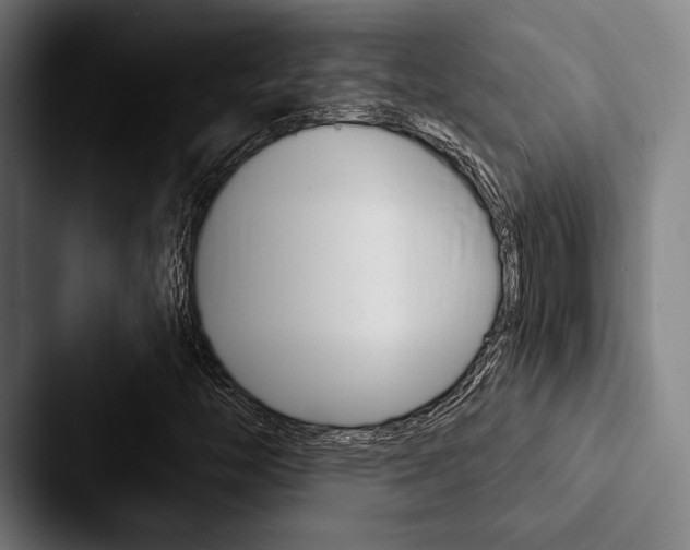 X0000088061446200705110904