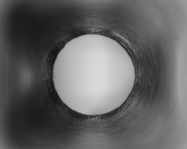 X0000088061447200705110904