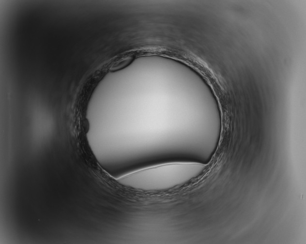 X0000088061448200705110904