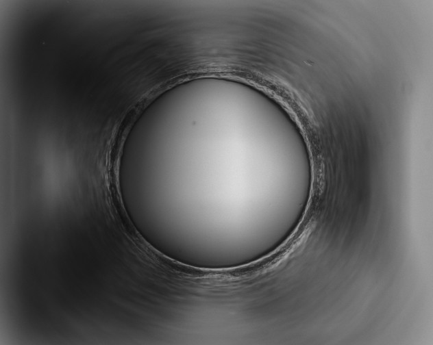 X0000088061449200705110904