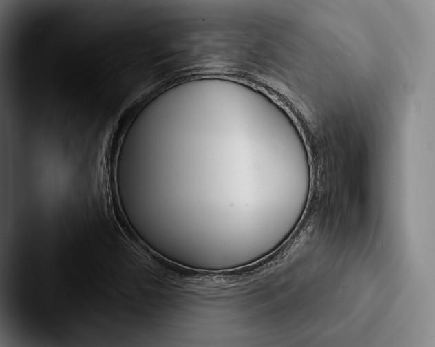 X0000088061450200705110904