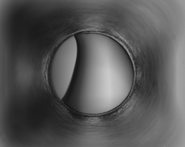 X0000088061455200705110904