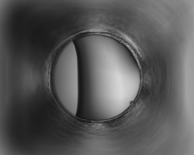 X0000088061456200705110904