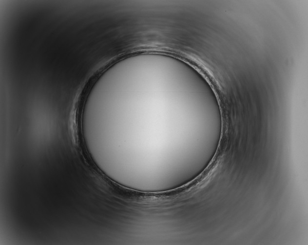 X0000088061458200705110904