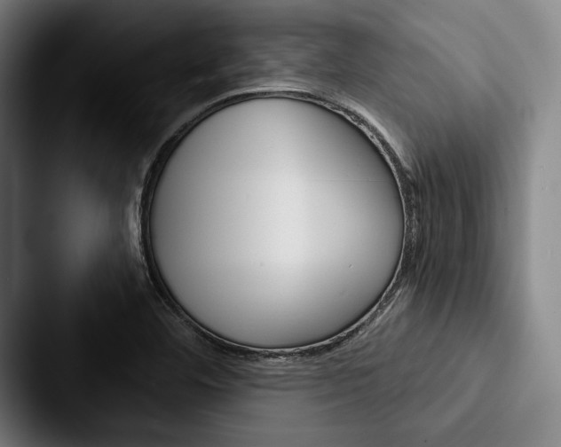 X0000088061460200705110904