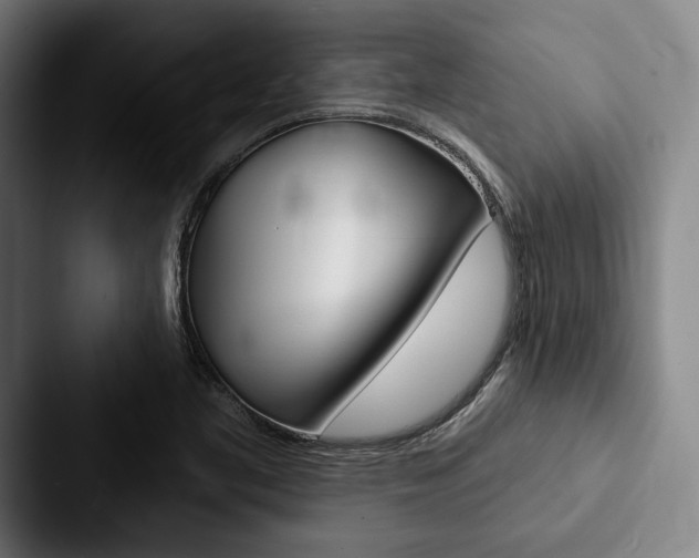 X0000088061461200705110904