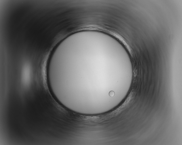 X0000088061466200705110904