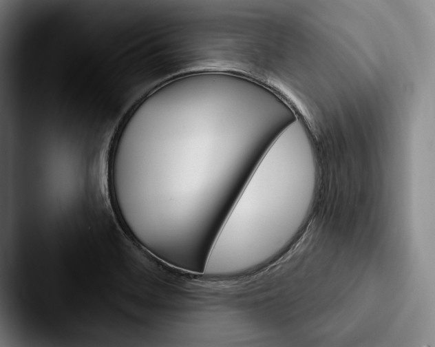 X0000088061468200705110904