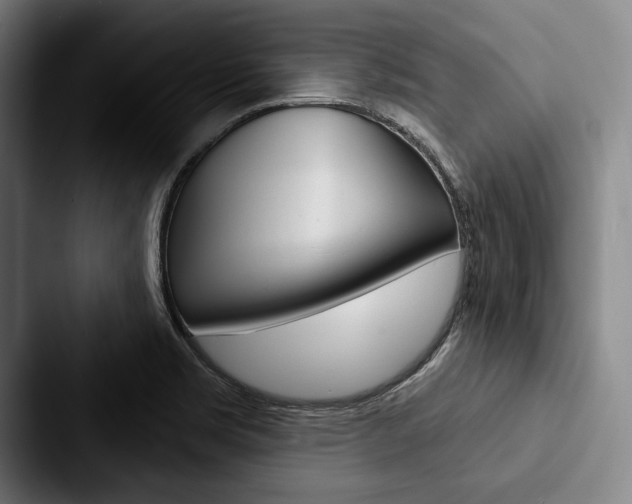 X0000088061469200705110904