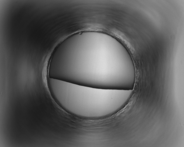 X0000088061471200705110904