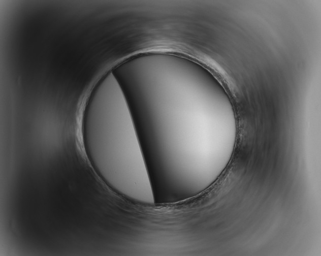 X0000088061472200705110904