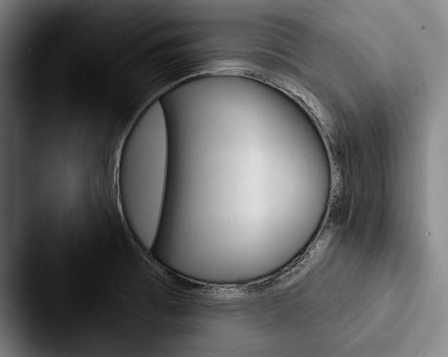 X0000088061473200705110904