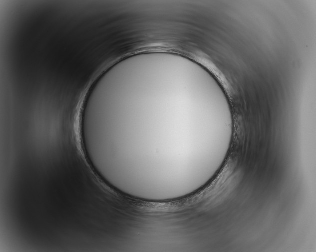 X0000088061474200705110904