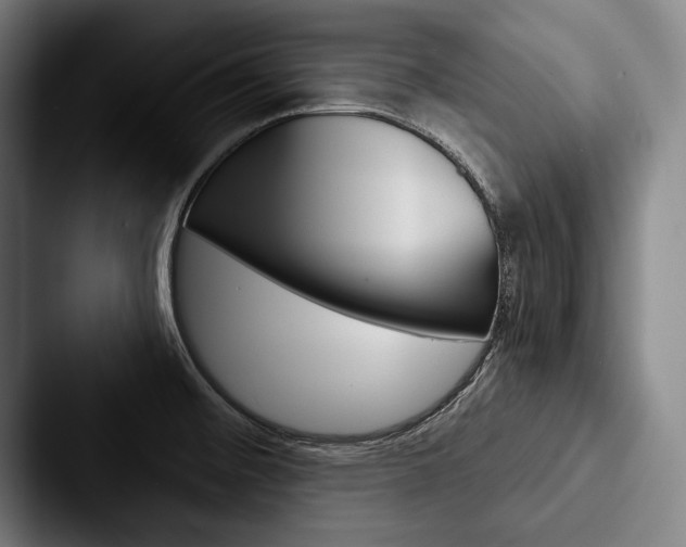 X0000088061476200705110904