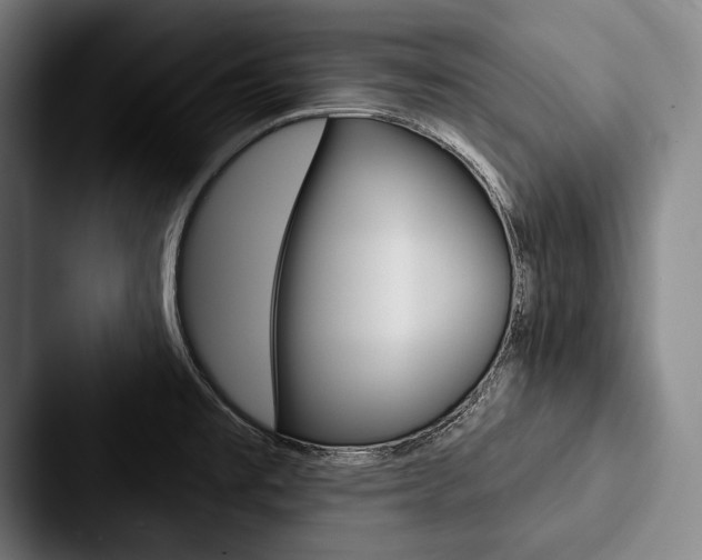 X0000088061477200705110904