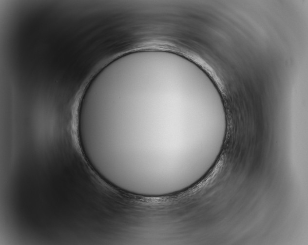 X0000088061478200705110904
