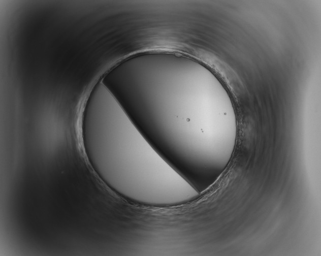 X0000088061480200705110904