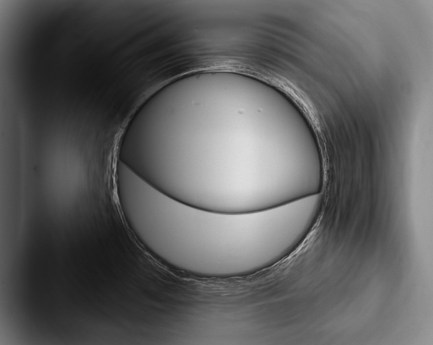 X0000088061481200705110904