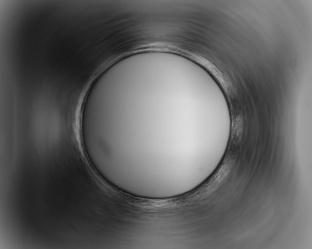 X0000088061482200705110904