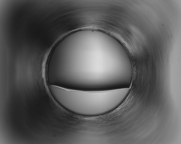 X0000088061484200705110904