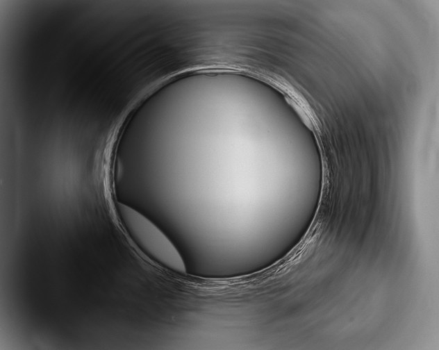 X0000088061485200705110904