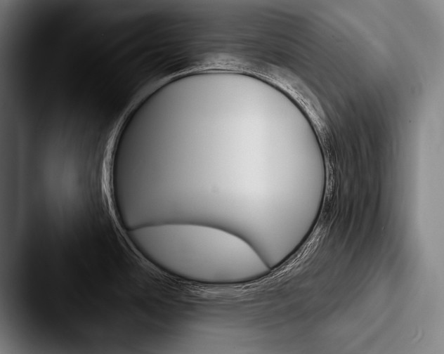 X0000088061486200705110904