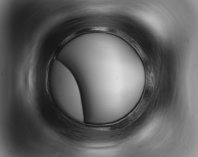 X0000088061487200705110904