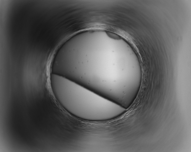 X0000088061488200705110904