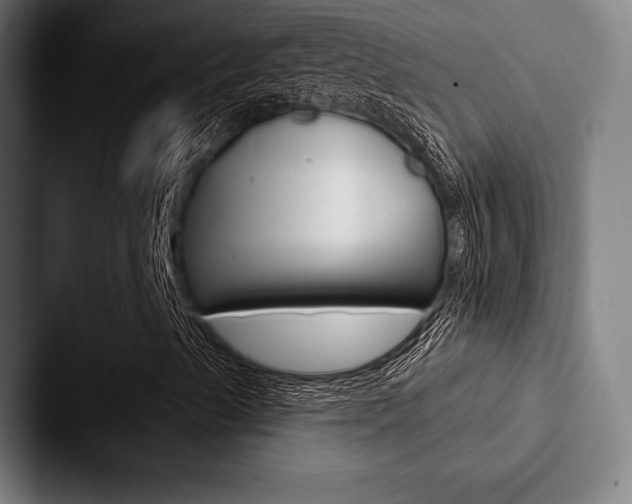 X0000088061489200705110903