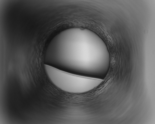 X0000088061490200705110903