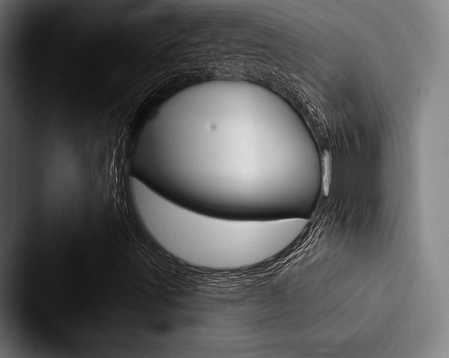 X0000088061491200705110903