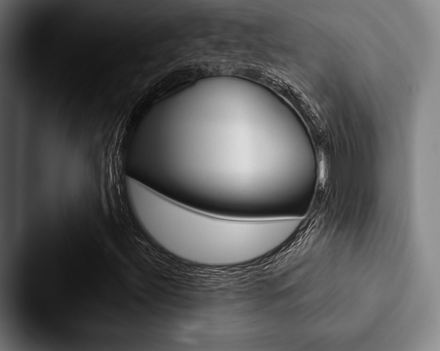 X0000088061492200705110903