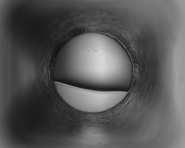 X0000088061493200705110903