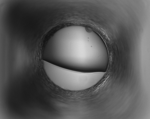 X0000088061494200705110903