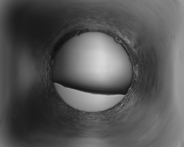 X0000088061495200705110903