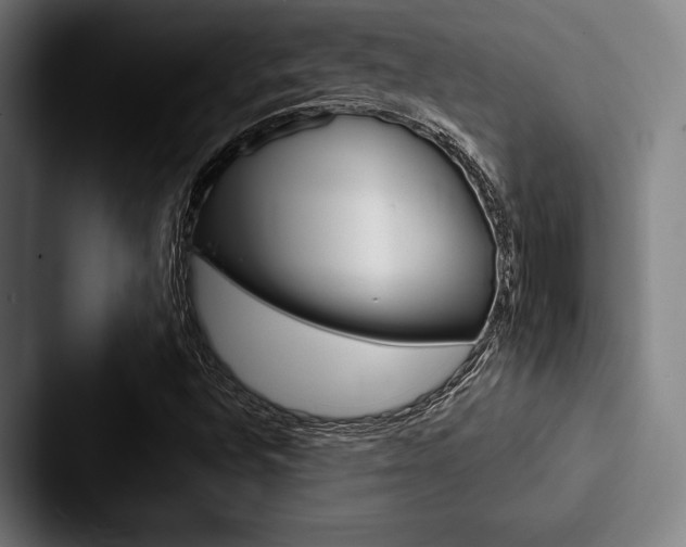 X0000088061496200705110903