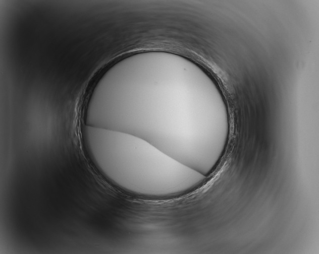 X0000088061498200705110903