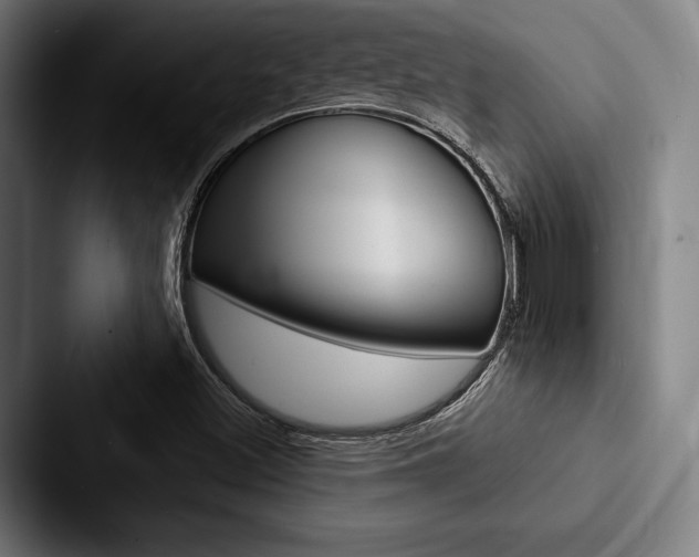 X0000088061500200705110903