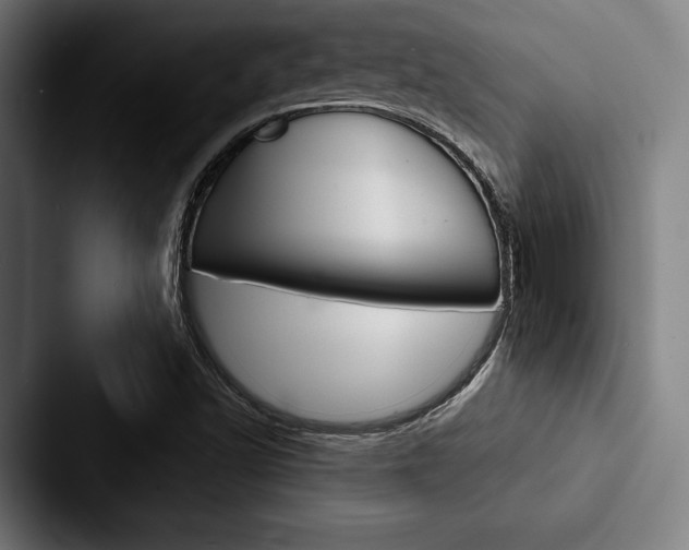 X0000088061502200705110903