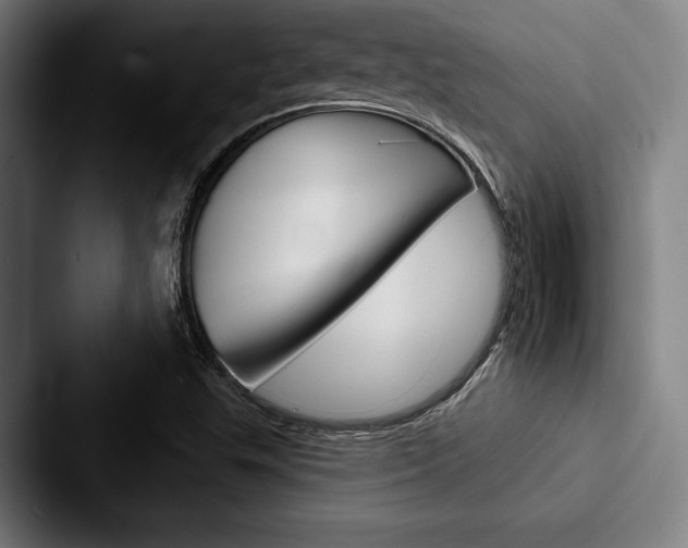 X0000088061503200705110903