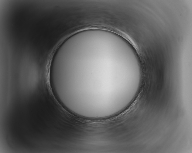 X0000088061504200705110903