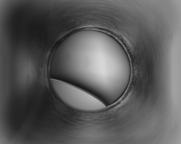X0000088061505200705110903