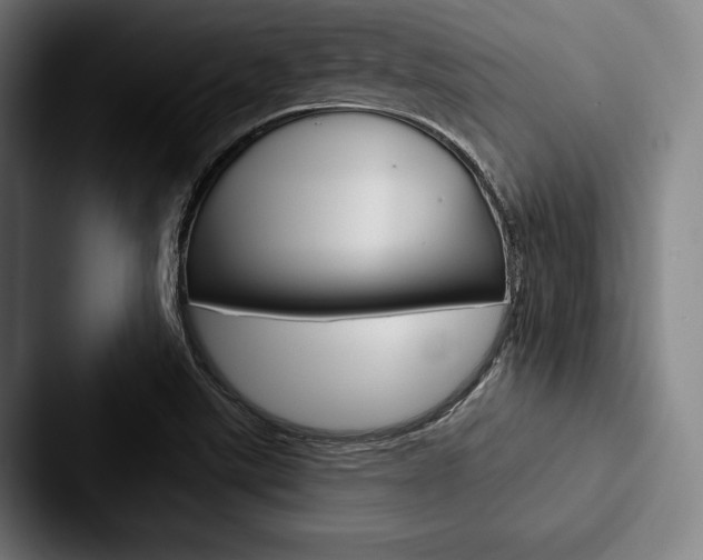X0000088061507200705110903