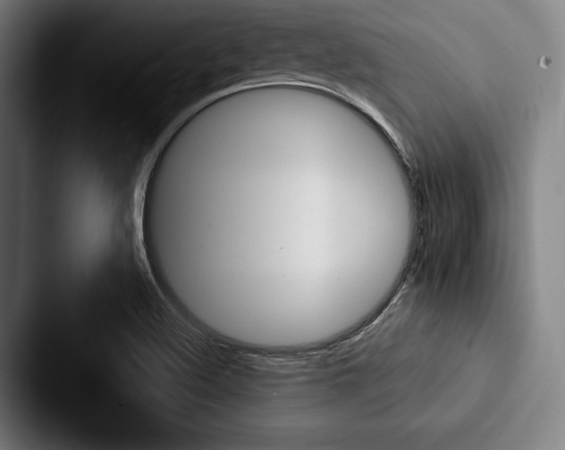 X0000088061508200705110903