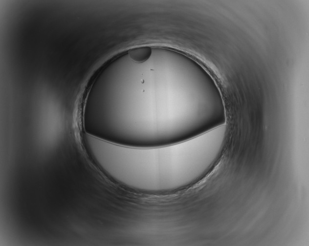 X0000088061510200705110903