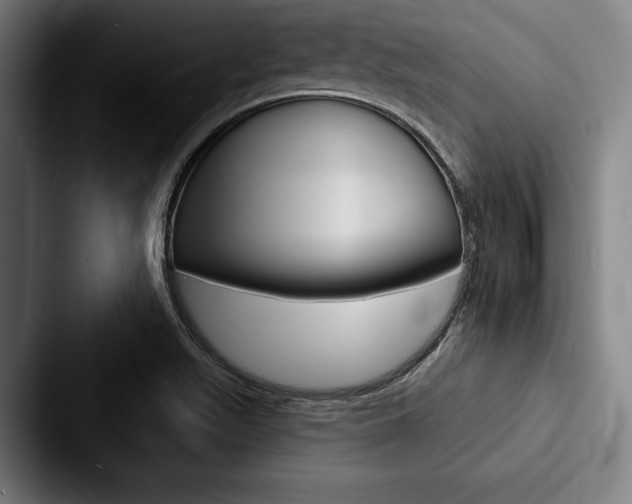 X0000088061511200705110903