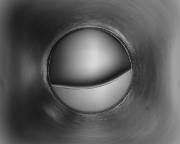 X0000088061512200705110903