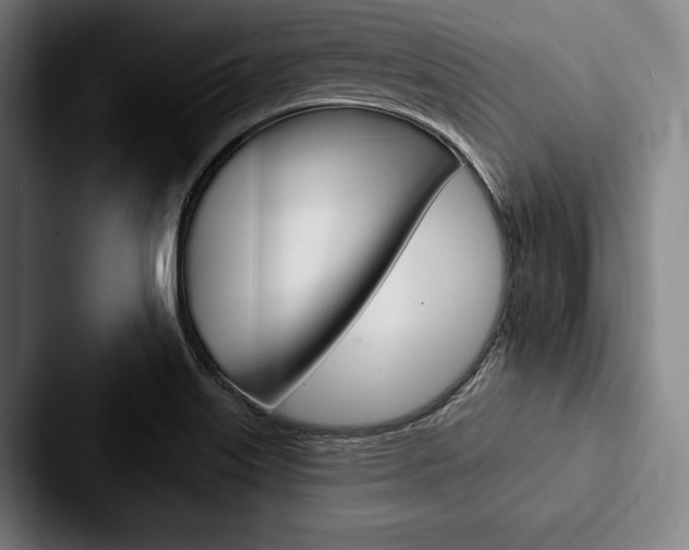 X0000088061515200705110903