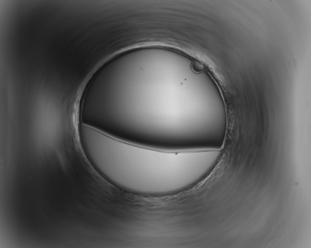 X0000088061516200705110903