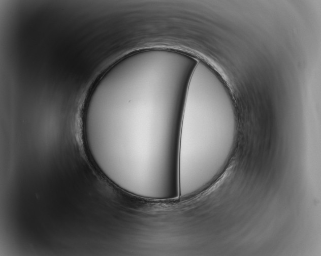 X0000088061517200705110903